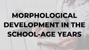 Morphological Development In The School Age Years Dr