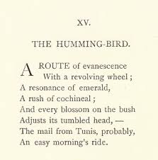 Tout Ceci Est Magnifique Hummingbirds Bird Quotes Life Quotes Dickinson Poems