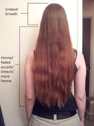 The Long Hair Community Discussion Boards Long Hair Styles Long Hair Community Hair Inspiration