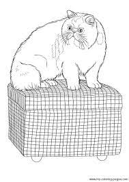 The three primary colors are red, blue, and yellow. Cats Coloring Pages Cat Coloring Page Cat Coloring Book Animal Coloring Pages