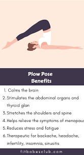 How To Do Plow Pose And Benefits Workout For Beginners Plow Pose Yoga Yoga Poses Advanced