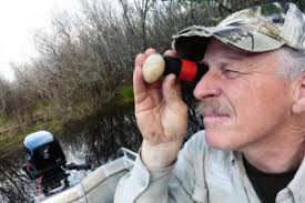 Making and servicing Grey Teal nest boxes