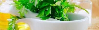 فوائد البقدونس للشعر الجاف Herbs Celery Parsley