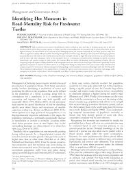 Use the id to listen to the song in roblox games. Mine Turtle Song Id