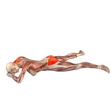 Crocodile Pose Makarasana Yoga Poses Yoga Com Pilatesanatomy Poses De Ioga Ioga Meditacao