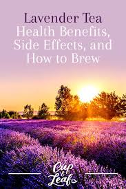 The use of lavender neck pillow is a good way of enjoying the benefits of aromatherapy plus the relaxation provided by the flora. Lavender Tea Health Benefits Side Effects And How To Brew Sencha Tea Bar