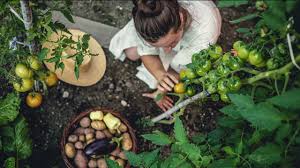 To get a good idea of how your garden layout works in real life, you could arrange young plants that are still in pots. Planning Your First Edible Garden Here Are The Steps To Follow And Common Mistakes To Avoid Cbc Life