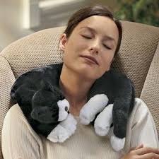 Find deals on products in cat supplies on amazon. The Man Who Knew Too Much April 2007 Cat Pillow Cat Cushion Pillows