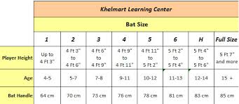 cricket guide for choosing cricket related equipments