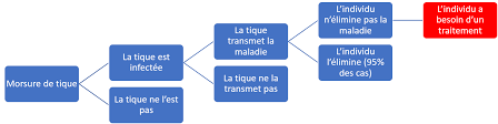 La conduite thérapeutique (choix de l'antibiotique, posologie, durée du traitement) dépend de l'âge et des atteintes présentes, d'où l'importance de procéder à examen physique complet incluant un examen neurologique. Traitement De La Maladie La Maladie De Lyme