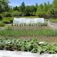 Season Extension for Home Gardeners