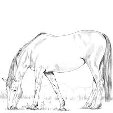 Kebetulan nih, sketsa yang ada menampilkan seekor induk gajah dengan anaknya. 170 Ide Gambar Mewarnai Warna Gambar Anak