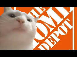 Submitted 4 months ago by memelazarus. Youtube 10 Best Vibing Cat Meme Videos Absolutely Adorable