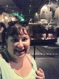 I Was Kicked Off The Harry Potter Ride For Being Too Fat For The Seats Huffpost Robbie coltrane, tom felton, dawn french and others. i was kicked off the harry potter ride