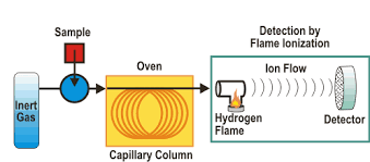 Kết quả hình ảnh cho gc-fid analysis