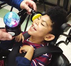 About the Foundation