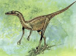 Hasil gambar untuk foto Troodon