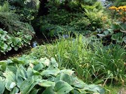 Pflegeleichten Garten Mit Uppigen Beeten Anlegen Stauden Garten Pflanzen Pflegeleichter Garten