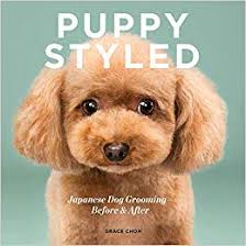 Amazon Com Puppy Styled Japanese Dog Grooming Before