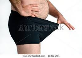Image result for how to insert male organ into female organ