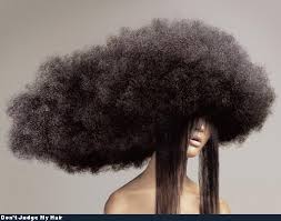 Post pics of your new haircuts if you want, post pics of funny haircuts, talk about which haircut you think you should get. Funny Haircuts Hallie Cochran S Blog