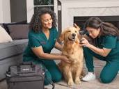 The Vets - Mobile Veterinary Services