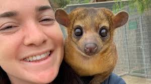 Chat with Zookeeper Danielle