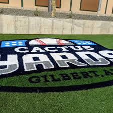 See more ideas about cactus garden, cactus, desert garden. Cactus Yards 10 Visitors