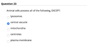 Log in for more information. Question 21 Which Of The Following Are Chegg Com