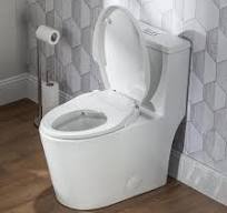 Casta Diva Elongated Bidet Toilet Combo Dual Flush 0.9/1.28 ...