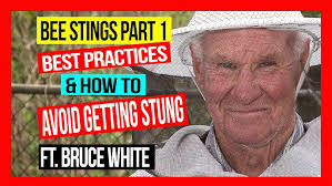 Hi Tech Tools to Better Understand Your Bees ft. Michael Syme