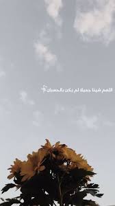 خلفيات سنابات calligraphy quotes love photo quotes beautiful arabic words