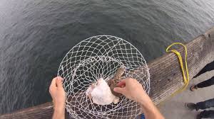 Socal Crab Fishing At Balboa Newport Pier Catch Crab Los Angeles Area Youtube