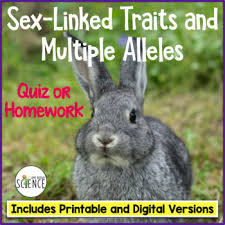 Heterozygous round eyes, blue body some of the worksheets for this concept are dihybrid cross practice answer key, chapter 10 work answers, chapter 10 work answers, chapter. Sex Linked Traits Worksheet Teachers Pay Teachers