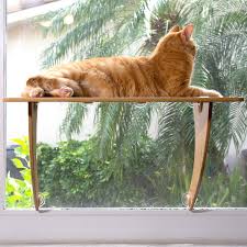 Heated cat beds are the most heated cat beds reach the comfortable temperature due to heating elements, built in a cat bed under a layer of foam. Akemi Tanaka Curve Modern Bentwood Wall Mounted Cat Perch Cat Window Seat Cat Shelf Beds Furniture Cats