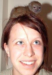 Hennes resesällskap till jobbet