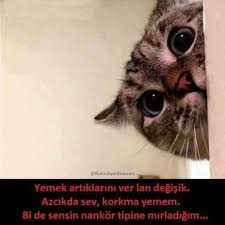Ugur Guler Adli Kullanicinin Iki Cift Laf Panosundaki Pin Cift Ikiz