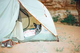 Pet Friendly Camping Near You On Hipcamp Dog Camping Tent Camping Tent