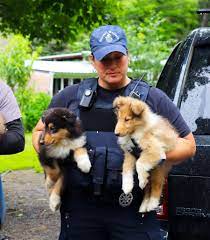 Search 134 options near portland, me average rate: Solon Seizure Animal Refuge League Of Greater Portland Maine Animal Shelter
