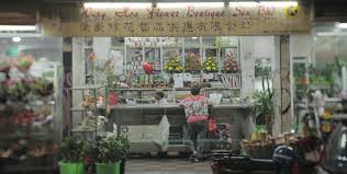 I have been regularly buying roses from this place for quite awhile now. P Photography Searching For Posts With The Image Hash 4qdpxcx9oainzkz8zyt8ua