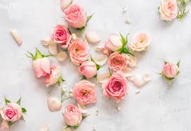 Maybe you would like to learn more about one of these? 26 Types Of Pink Flowers Tips Pictures Proflowers Blog