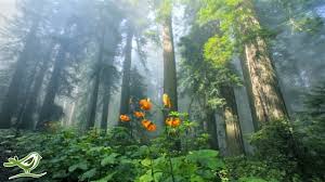 Yoga classical music yoga music, yoga, relaxing music therapy 2017. 10 Hours Of Relaxing Music Calm Piano Guitar Sleep Music Study Music Youtube
