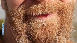 Slow hair growth is becoming more common for both men and women due to poor diets and stressful lifestyles. The Importance Of Hanging In There All About Beards