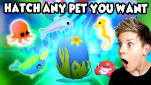 Последние твиты от adopt me codes roblox 2021 (@adoptmecode). How To Always Hatch A Shark From Ocean Egg In Adopt Me Trying New Tiktok Adopt Me Hacks 2021