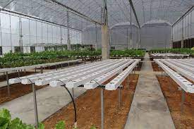 China Commercial Nft Channel Hydroponic Systems For Sale China Nft Nft Channel