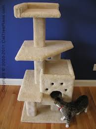 The house is built from sturdy wood planks, offering 3 cut out holes for easy access, and 1 large deck underneath the whole structure. Cat Tree Plan 4 Homemade Cat Tree Designs Cat Tree Plans