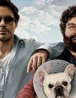 Il film stasera in tv su 20 alle 21. Parto Col Folle Film It