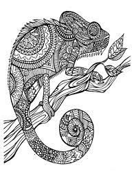 Pin En Coloring Pages For Kids