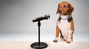 With your dog seated in front of you. To Overcome Your Fear Of Public Speaking Stop Thinking About Yourself