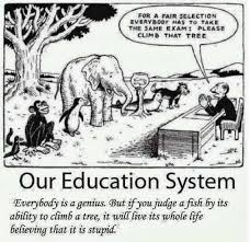 Education System Education System Education Quotes Teacher Humor